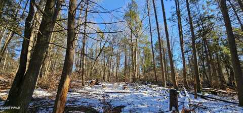 Lot 81.4 County Route 114, Cochecton, NY, NY 12726