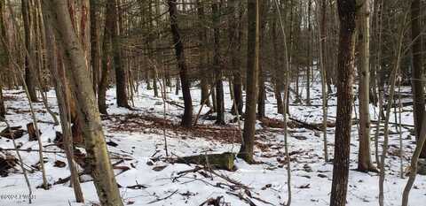 Lot 12 Cedar Court, Lakeville, PA 18438