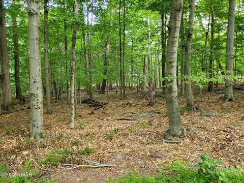 Lot 686a Hickory Lane, Greentown, PA 18426