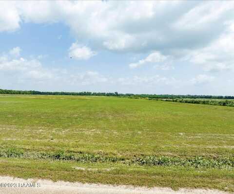 Tbd Trudell Lane (Lot 8), Basile, LA 70515