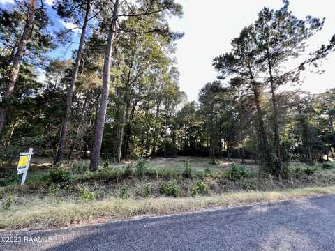 Haven Loop, Chatham, LA 71226