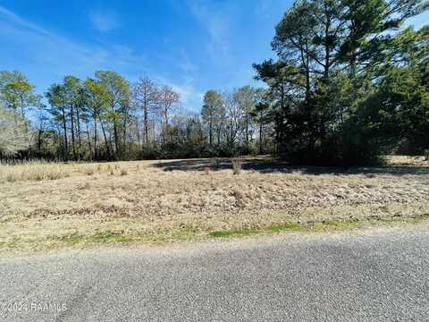 Tbd Dove Drive Drive, Ville Platte, LA 70586