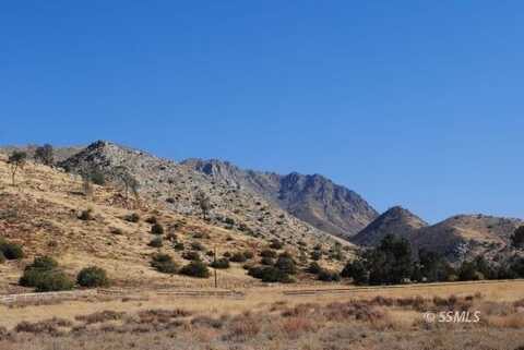 Erskine Creek Road, Lake Isabella, CA 93240