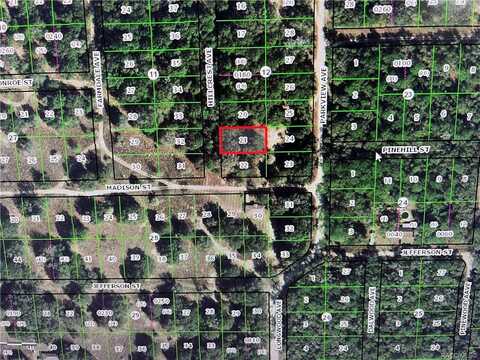 812 Hillcrest Avenue, Inverness, FL 34453