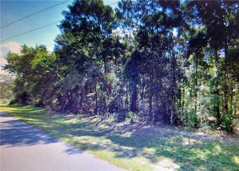 8249 NW 172nd Lane, Other, FL 32693