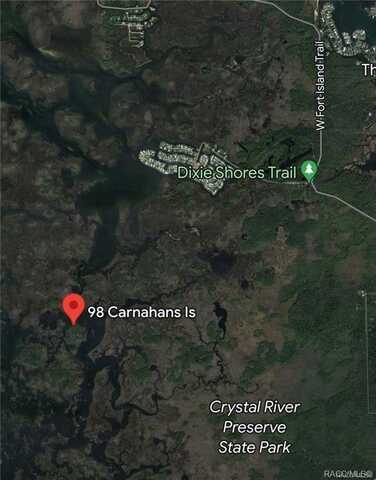 98 Carnahans Island, Crystal River, FL 34429