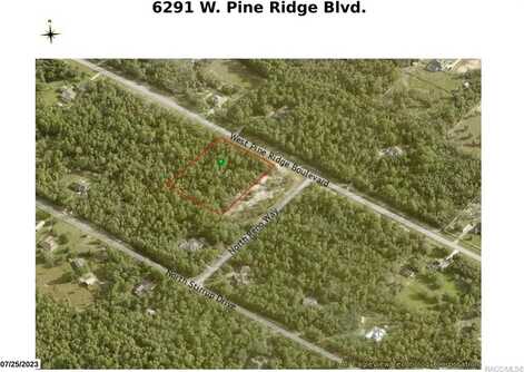 6291 W Pine Ridge Boulevard, Beverly Hills, FL 34465