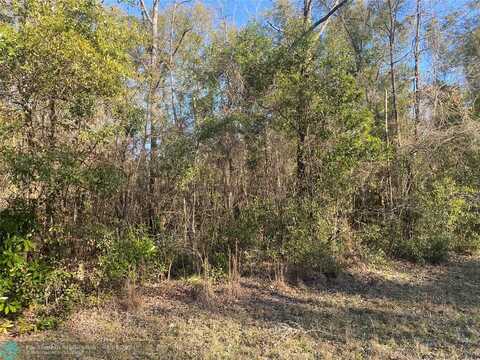 0 SW Loncala Loop, Other City - In The State Of Florida, FL 32038