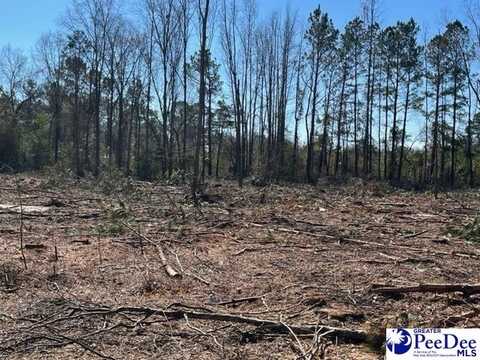 TBD Tobacco street Lot 2, Timmonsville, SC 29161