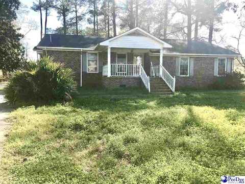 404 E 3rd Avenue, Lake View, SC 29536