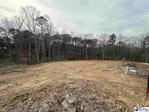 1.3 ac Lot Green St, Chesterfield, SC 29709
