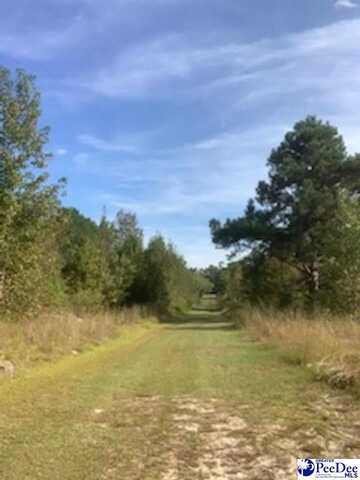 TBD Veta Way (Lot 8), Hamer, SC 29536