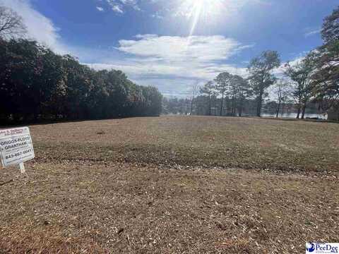 TBD W Forest Lake Drive, Florence, SC 29501