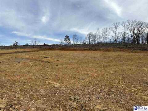 2.50 Ac Tract Green St, Chesterfield, SC 29709