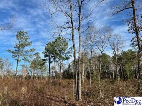 LOT 9 Log Cabin Rd., Darlington, SC 29532