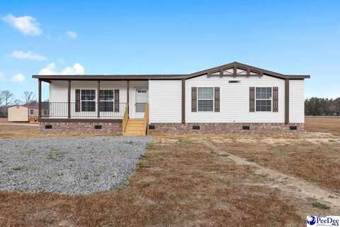 111 Meggs Island Road, Latta, SC 29565