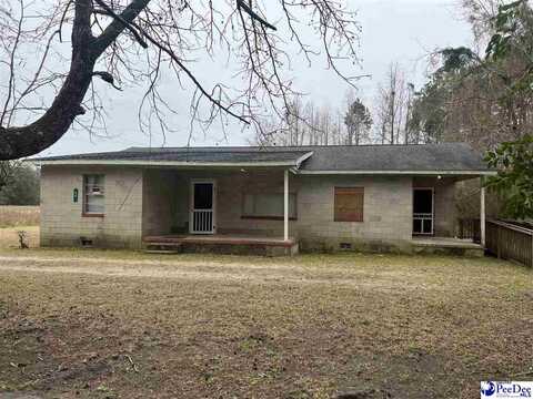 36 Rabbits Foot Extension, Kingstree, SC 29556