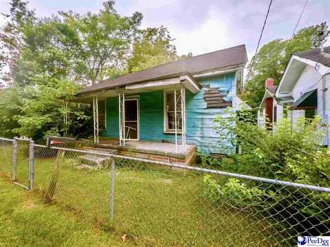 507 N McQueen St, Florence, SC 29501