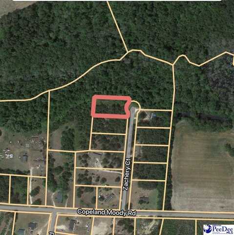 Lot 7 Zachary Court, Latta, SC 29565