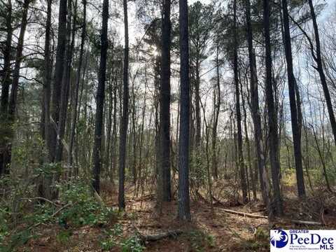 lot 1 Log Cabin Rd., Darlington, SC 29532