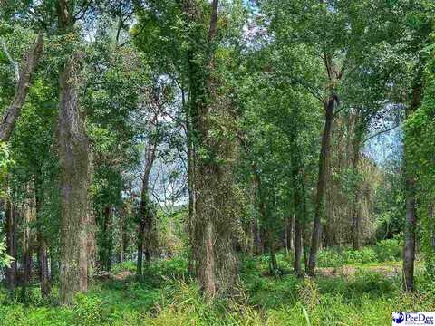 Lot 53 & 54 McLaurin Lake Circle, Dillon, SC 29536