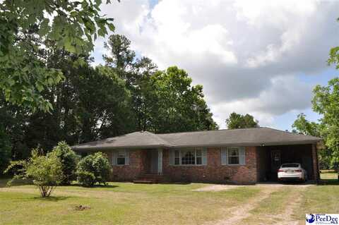 347 Harper Road, Marion, SC 29571