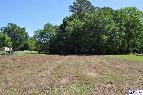 TBD N Highway 501, Latta, SC 29565