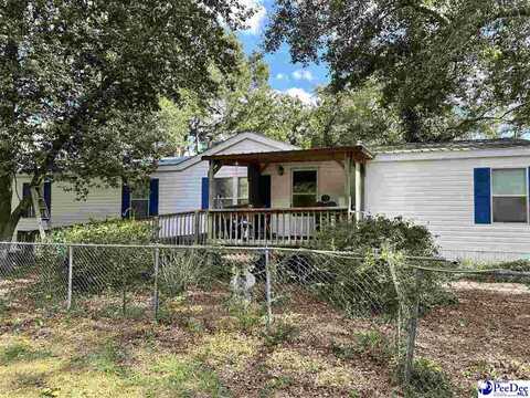 3108 Hornet Lane, Coward, SC 29530