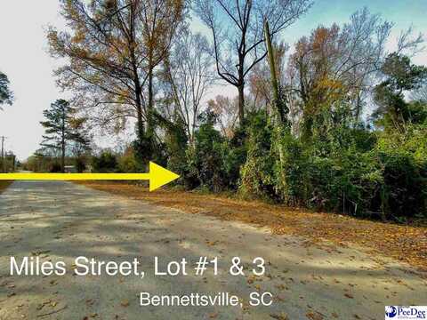 Lot 1 & 3 Miles Street, Bennettsville, SC 29512