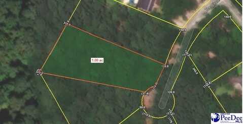 Lot 13 Tee Circle, Darlington, SC 29532