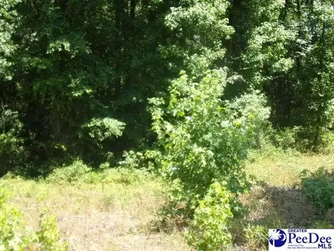 Lot 34 Willis Dr, Hartsville, SC 29550