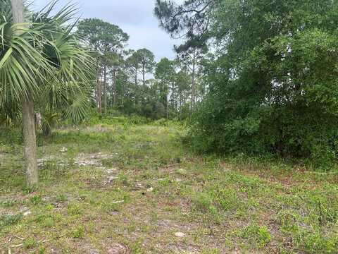 XXX Spacey Dr, Carrabelle, FL 32322