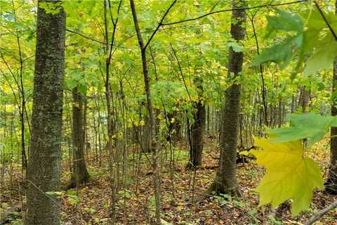 Lot 5 Oak Ridge Drive, Cable, WI 54821