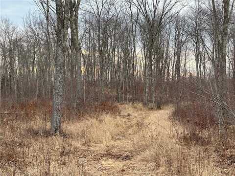 559.02 Acres Hwy T, Dairyland, WI 54830