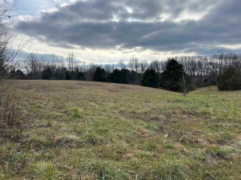 Tract 4-4 Raleigh Wilson Road, Bowling Green, KY 42101