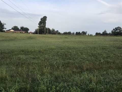 Lot 1-3 Smiths Grove Scottsville Road, Oakland, KY 42159