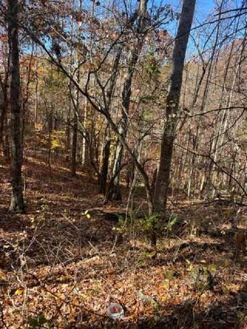 10 AC Hatcher Valley Road, Horse Cave, KY 42749