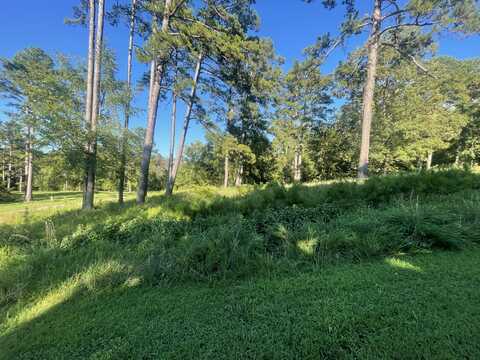 Eagle Cove Road, Lamar, AR 72846