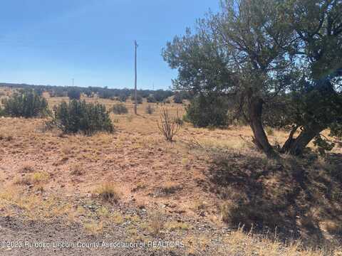 LOT 211 Windmill Road, Corona, NM 88318