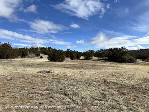 672-680 Mt. Capitan Road, Capitan, NM 88316