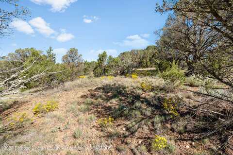 Lot A State HWY 37, Nogal, NM 88341