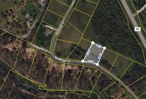 Lot 9 Watauga Lane, Birchwood, TN 37308