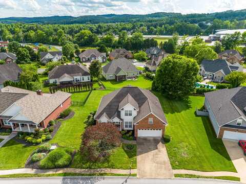 9085 Crystal Brook Drive, Apison, TN 37302