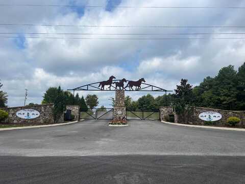 0 Thunder Ridge, Lot 21 Drive, South Pittsburg, TN 37380