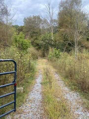 9.63 Ac County Road 130, Riceville, TN 37370