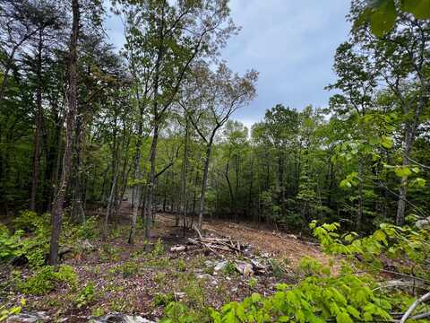 Lot #24 Escape Drive, Evensville, TN 37332