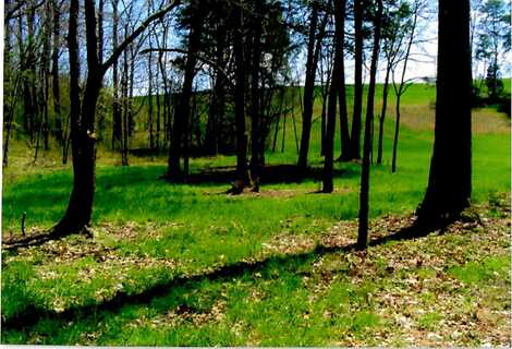 Lot 35 Watauga Lane, Birchwood, TN 37308