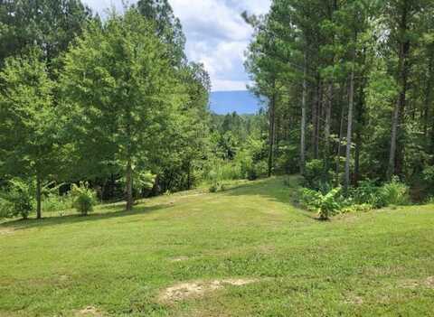 147 Hiwassee Trails Drive, Delano, TN 37325