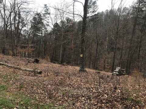 Lot 26 Sawmill Cove, Rockwood, TN 37854