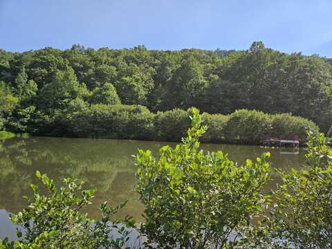 00 Calvender Road, Turtletown, TN 37391